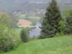 2006